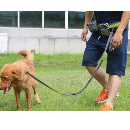 Adjustable Hands-Free Dog Leash – Perfect for Walking, Running, and Hiking